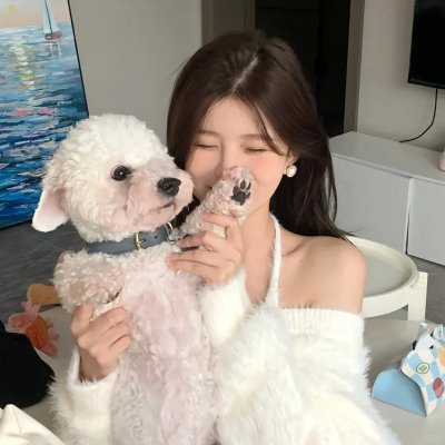 朝朝有喜之四个夫郎宠上天